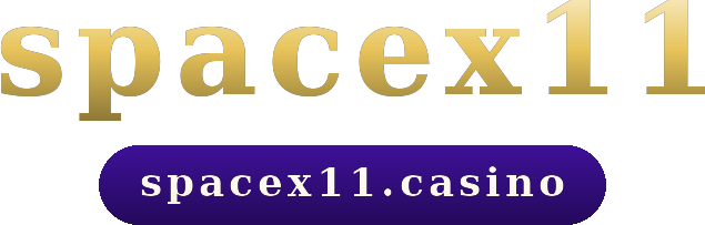 spacex11 โลโก้